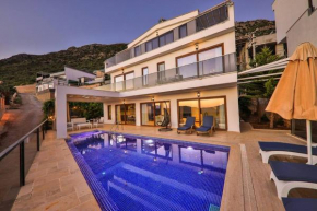 Villa Elisa
